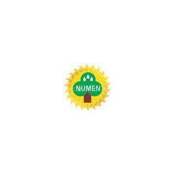 Hongkong Green Numen Electronics Co., Ltd