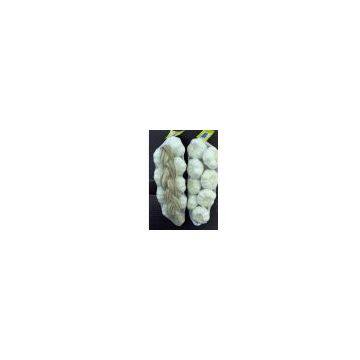 pure white garlic