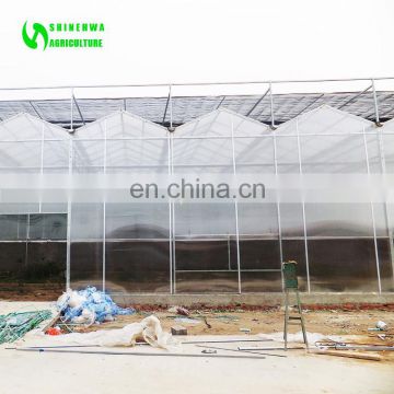 2018 Low Price Agricultural Polycarbonate Greenhouse for sale