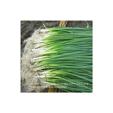 SHIP PROVISION,BONDED STORE IN ALL CHINA PORTS AND SHIPYARDS