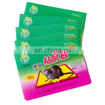 Coconut Grove  strong sticky glue board  mouse board  thin models of mouse glue board   sticky mouse device