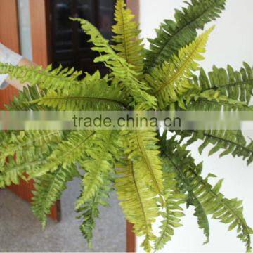 office decorative plants