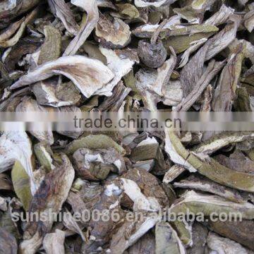 Market Prices For Boletus photo-5