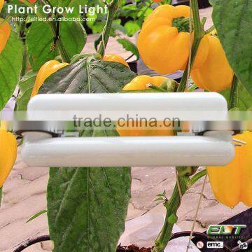 plant induction grow light and hydroponics growing light system