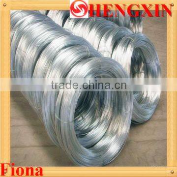 Galvanized Iron Wire(facory)