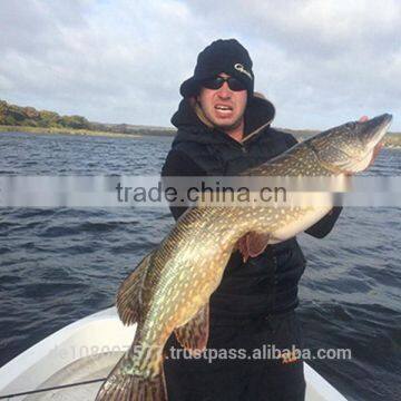 Best Quality Nylon Monofilament Fishing Lines 100% Made in Germany Bulk Spools 0.08-0.60mm HYPERSTRONG Clear photo-6