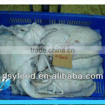 fresh frozen whole cuttlefish on sale