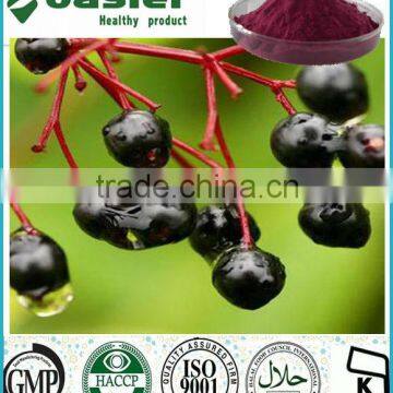 100% Natural Sambucus Nigra Extract