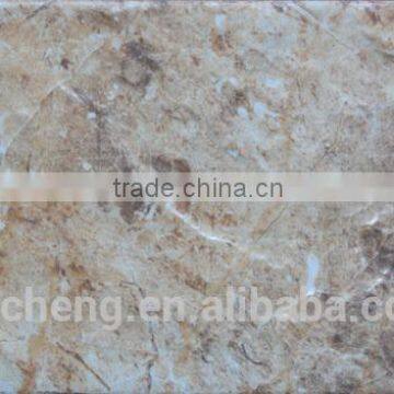 110x250mm fullbody outdoor wall tile