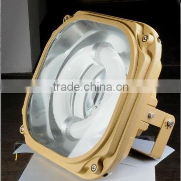 Explosion proof induction flood light