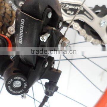 High Power Lithium Battery Electric Bike 2015 photo-2