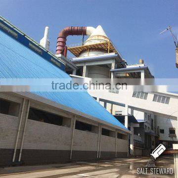 Wholesale Iodized Refined Rock Salt photo-4