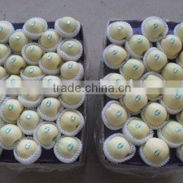 fresh chinese golden apple