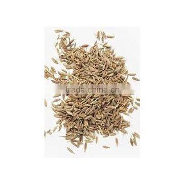 2015 Reliable Supplier/ Exporter/ Manufacturer for Celery Seed Oleoresin