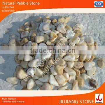 Garden Pebble Stone Paving Flooring