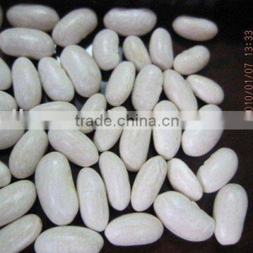 Japanese White Kidney Bean/baishake White Kidney Bean/small White Kidney Bean