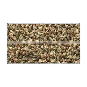 Ajwain seeds ( carom seeds) from India