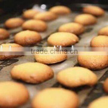 High Quality Heat Stable Egg Yolk Powder Spray Dried for Food Industry photo-4