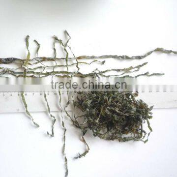 2014 New type thermal dried cut seaweed laminaria kelp