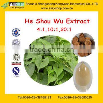 Top Quality Tuber Fleeceflower Root Extract Powder Fallopia Multiflora Extract