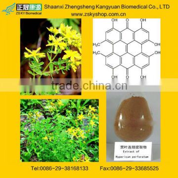 Hypericum Perforatum Extract Hyperforin from GMP Certified Manufacturer