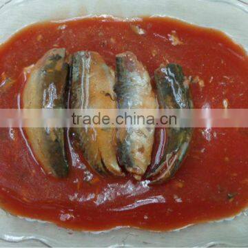 canned mackerel in tomato sauce