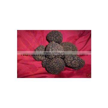 raccoglitore commerciante tartufi italiani TRADER ITALIAN TRUFFLES