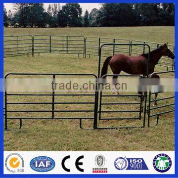 Black Color PVC Coated Galvanized Tube Welded Portable Horse Fencing