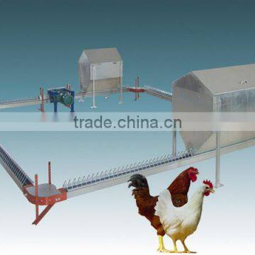 Hot sale chicken parent breeder equipment/poultry chain feeding system