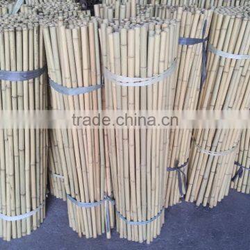 natural Bamboo cane