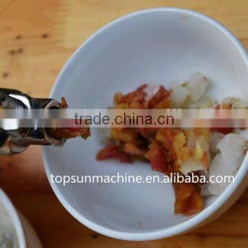 Hot Sales Top Quality Stainless Steel Wheat Grass Juicer, Juicer photo-3