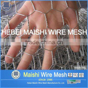 Hot Dipped Galvanized Hexagonal Wire Mesh Factory photo-5