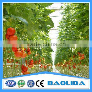 Galvanized Steel Pipes Greenhouse Structure With Hydroponic System