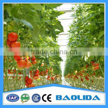 Vegetable &Fruit Used Pvc Greenhouse photo-2