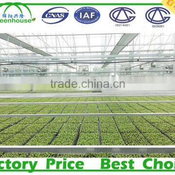 Agriculture Greenhouse Rolling Bench photo-2
