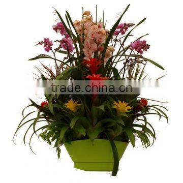 Wholesale Green Color Home Decor Table Flower Planter