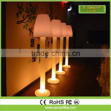 2017 Factory Price LED Floor Lamp Lighting/PE Floor Lamp