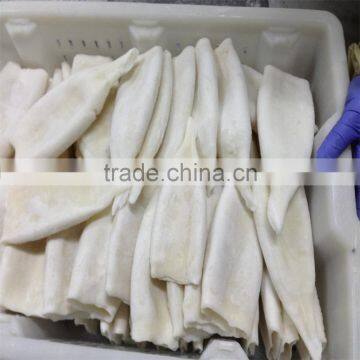 Frozen Squid Tube U5 U7 U10 photo-6