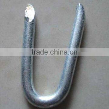 Polished,Galvanized U Type Nails with factory price