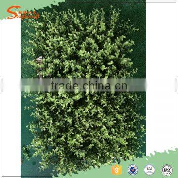 2016 International Certified Professional Leisure Venues Fire Resistant Artificial Grass Wall photo-3