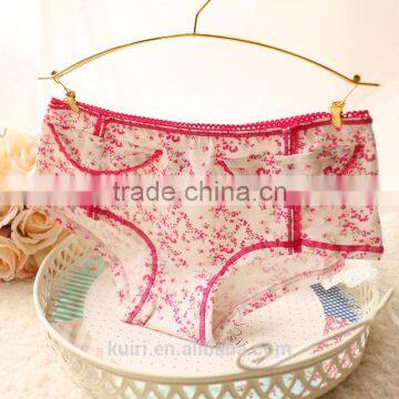 2017 Wholesale Women New Fashion Cotton Panties Ladies Underwear Sexy Briefs photo-3