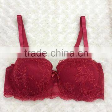 Sexy Mesh Lace Bra and Brief Rose Team 2016 Sexy New Design See Through Boyshort photo-3