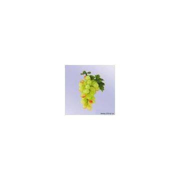 Sell Artificial Grapes Fruits