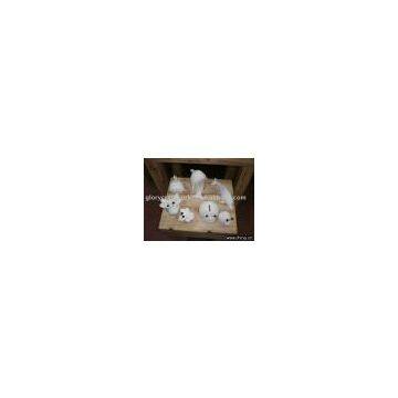 Ceramic ANIMAL MONEY BANK