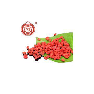 Goji fruitNingxia dried goji berry organic dried goji berries