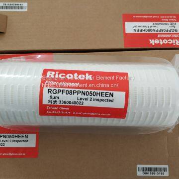 Ricotek filter  RGPF10PPN050HEEN, RGPF08PPN050HEEN, RGP09PPN050EEEN