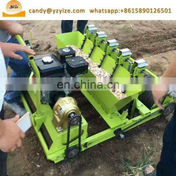 Automatic Type 5 Rows Garlic Seed Planter Garlic Seeder Machine photo-7