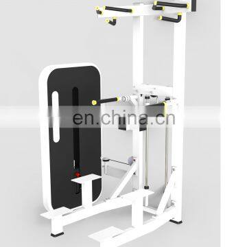 Cheap fitness equipment commercial gym machine made in China DIP/CHIN ASSIST