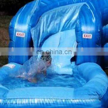 Large Inflatable Water Slides for Adult / Large Inflatable Water Slides / Large Inflatable Slides for Sale photo-2
