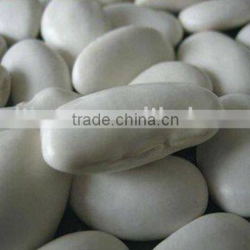 Large white kidney beans